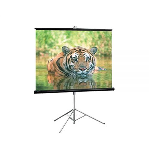 Draper Consul Economy & Durability Tripod Screen