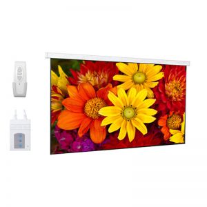 DP Motorized/Electric Projection Screen 151"D (73.1" x 131.6")